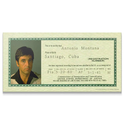 ANTONIO MONTANA KANVAS TABLO
