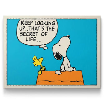 PEANUTS - KEEP LOOKING KANVAS TABLO