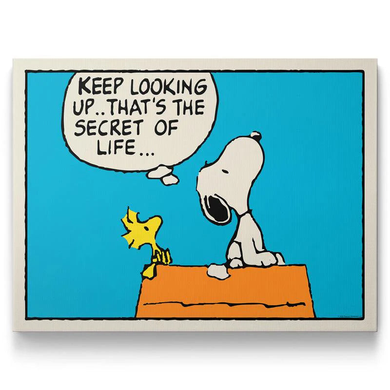 PEANUTS - KEEP LOOKING KANVAS TABLO